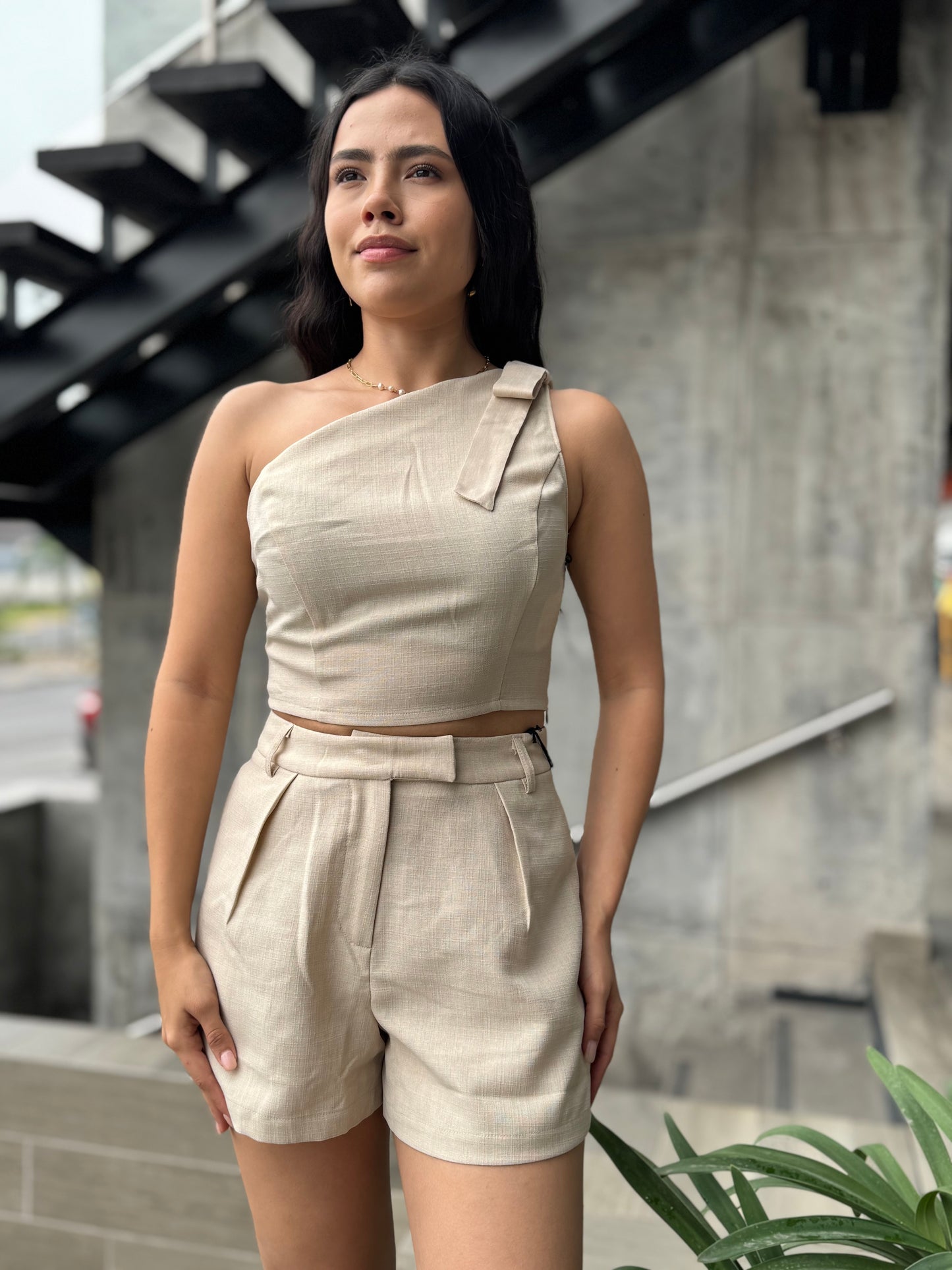 SET BEIGE 1 MANGA